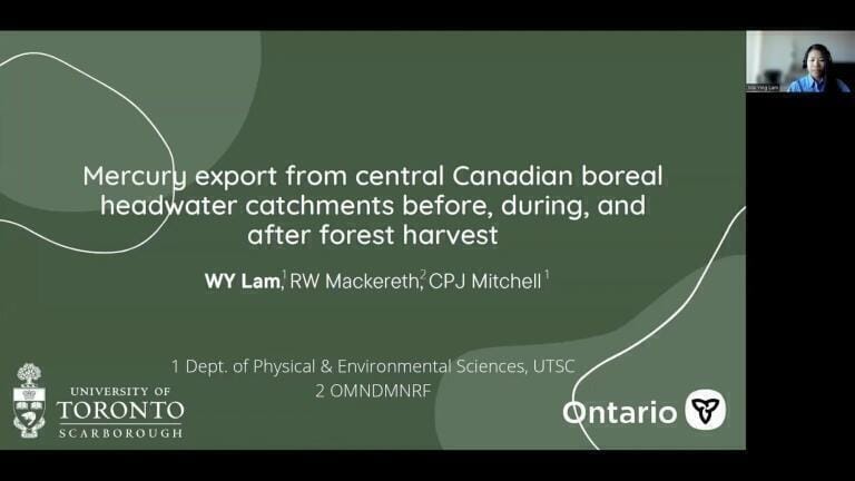 Mercury Export From Central Canadian Boreal Headwater Catchments Before, During, and After Forest Harvest